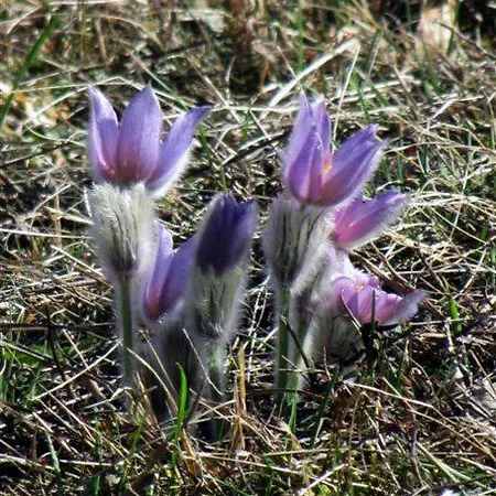 Hébergement de vacances Donacka Gora *