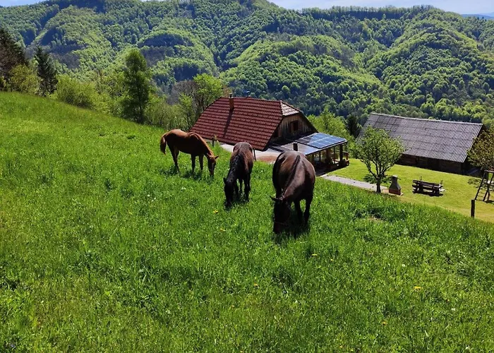 Dom wakacyjny Donacka Gora *